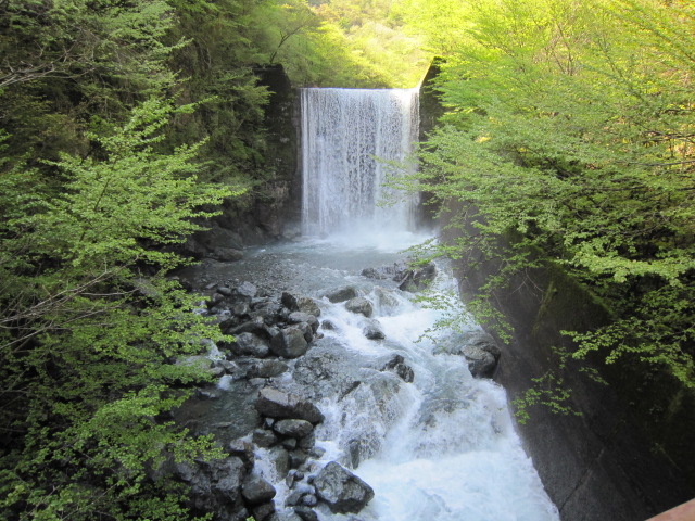 早戸川源流堰堤