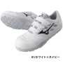 MIZUNO_TDII22L ミズノ  オールマイティ TDII 22L（F1GA2301） 