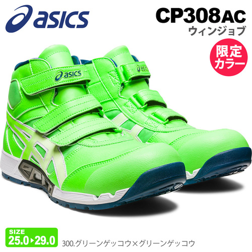 asc-cp308ac-lc.jpg