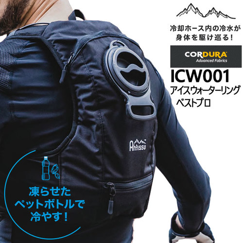 icw001.jpg