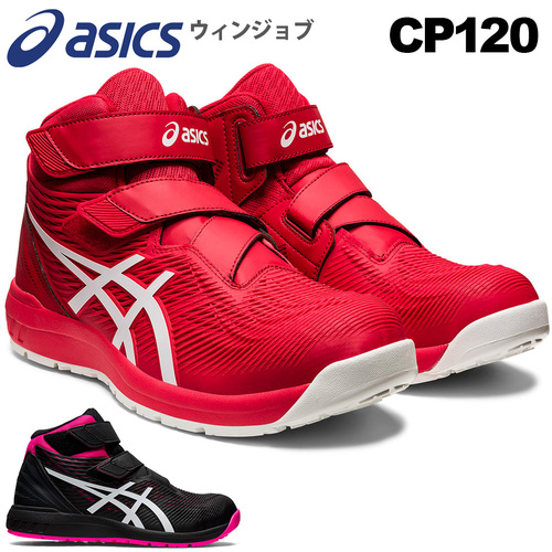CP120.jpg