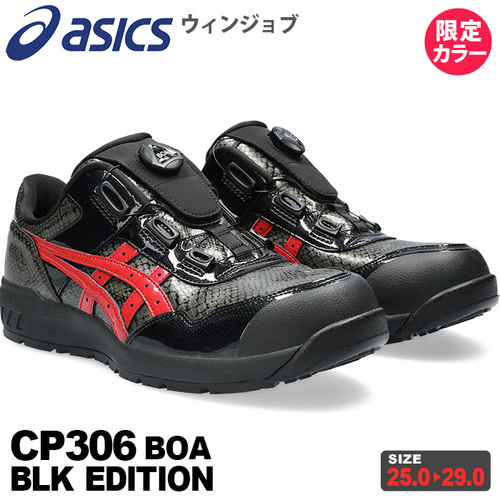 asc-cp306-lc3.jpg