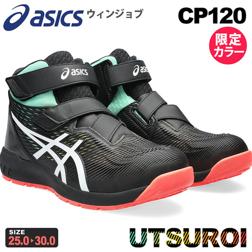 asc-cp120-lc2.jpg