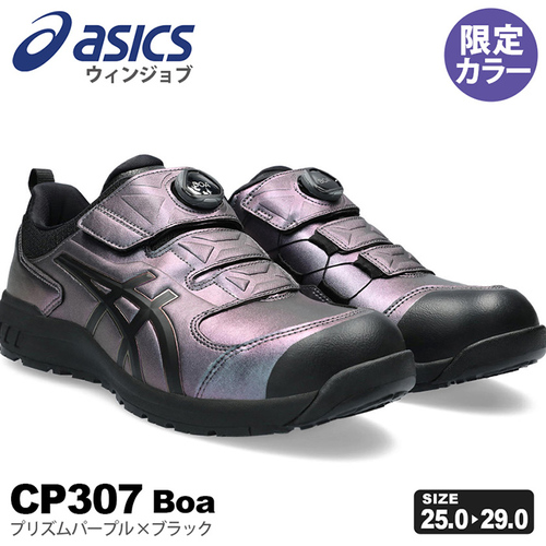 asc-cp307-lc.jpg