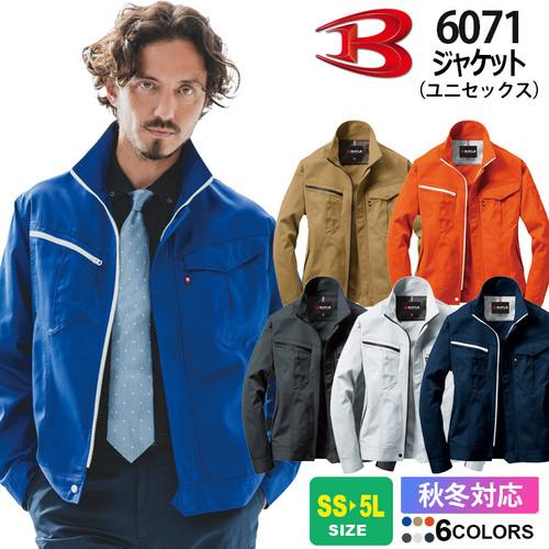 btl6071.jpg