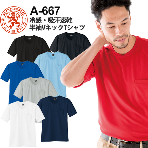 A-667.jpg