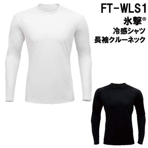 FT-WLS1-TOP.jpg
