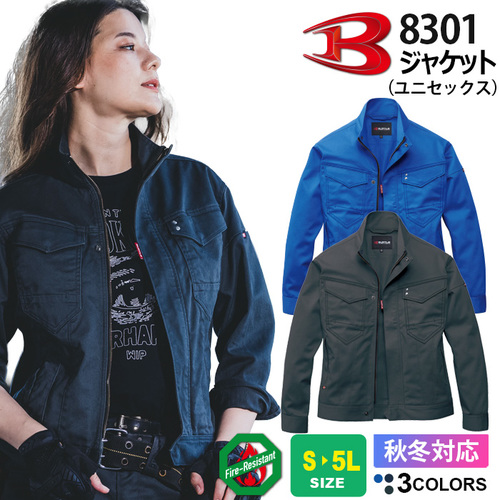 btl8301.jpg