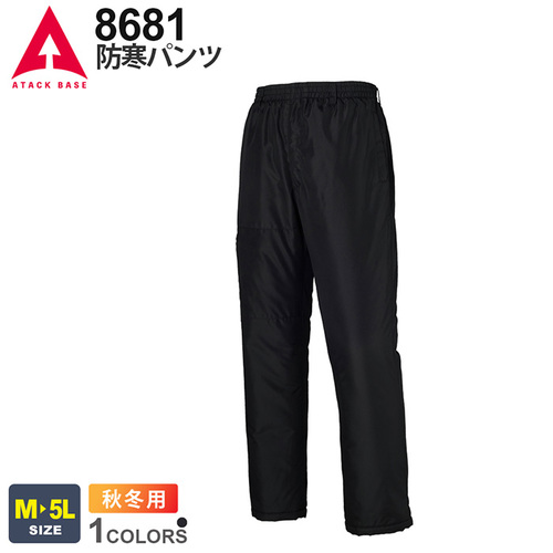 ATA8681.jpg