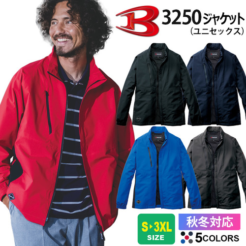 btl3250.jpg