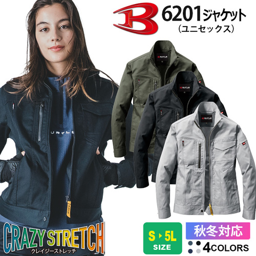 btl6201.jpg