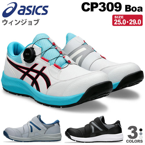 asc-cp309_0000_asc-cp309.jpg.jpg